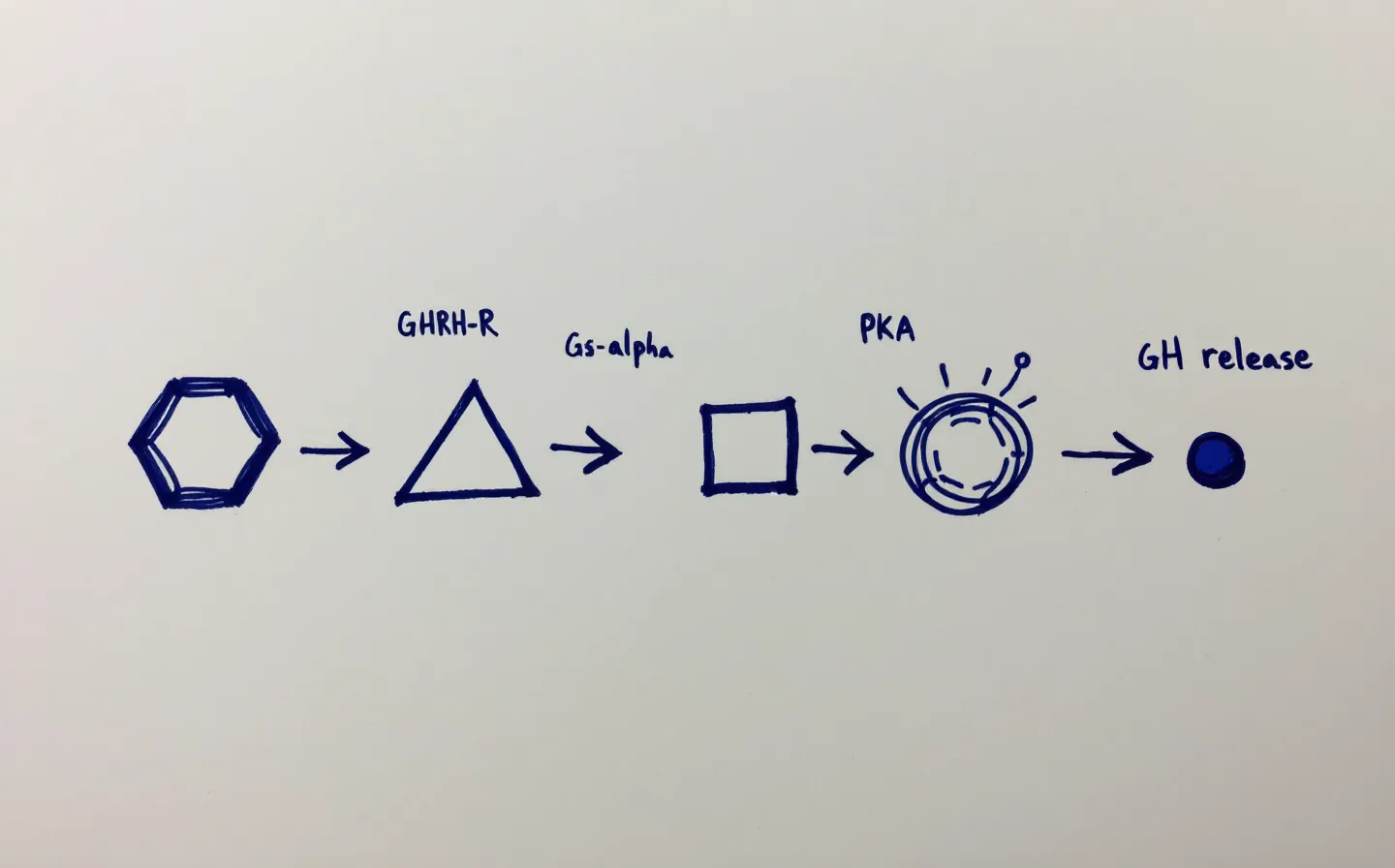 Mechanism: a five-step cascade you can draw