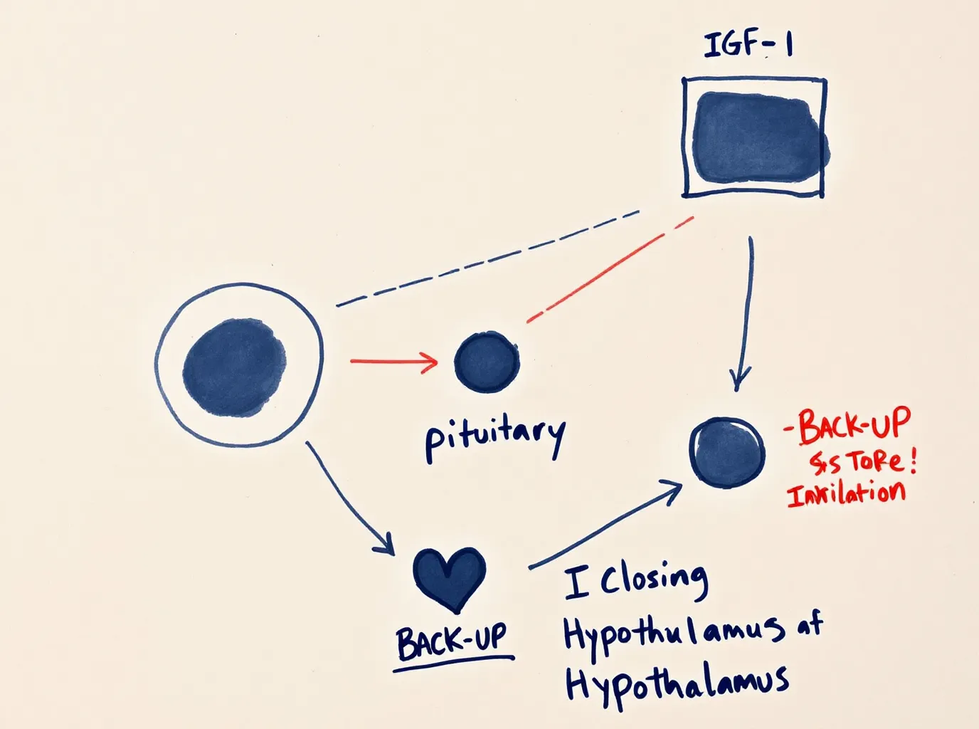 The class context: tesamorelin and the HIV-lipodystrophy literature
